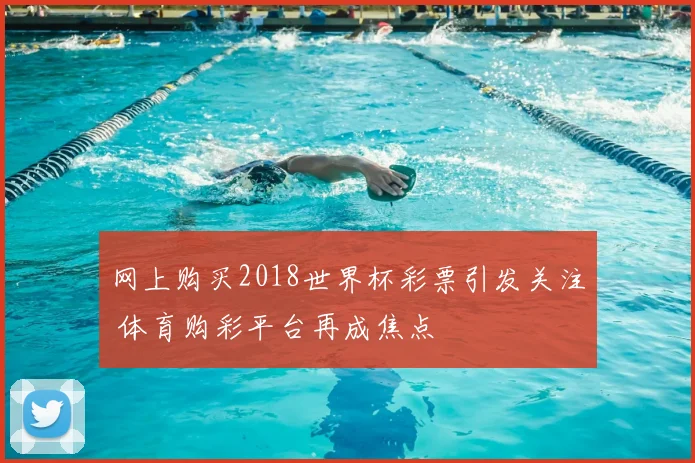 网上购买2018世界杯彩票引发关注 体育购彩平台再成焦点